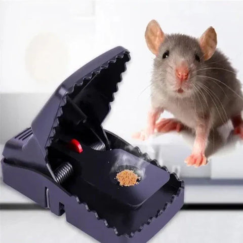 Mouse Trap: Quick and Efficient Pest Control Solution